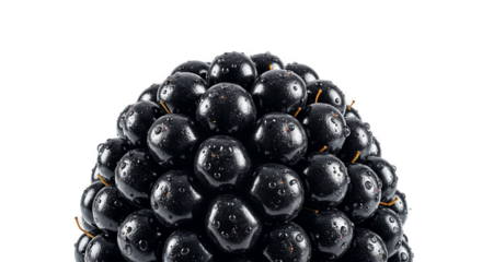 Blackberry Macro Realistic Photo With Water Droplets Isolated Dark