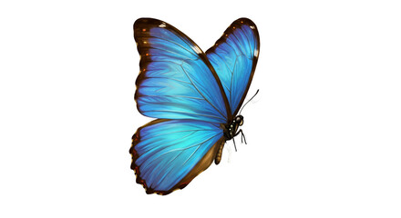 Blue Butterfly Macro Realistic Photo Isolated Transparent Background