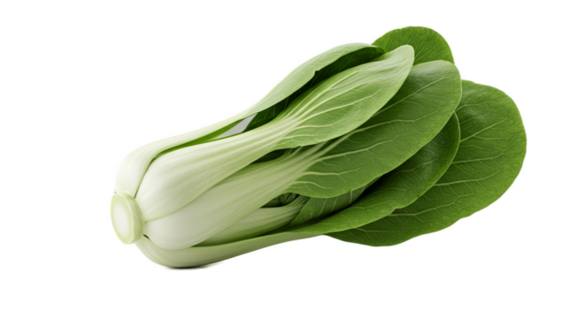 Bok Choy Fresh Green Vegetable Isolated On Soft Gradient Background