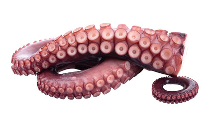 Isolated octopus tentacles cooked seafood, reddish-purple hue, suction cups visible against a stark black backdrop