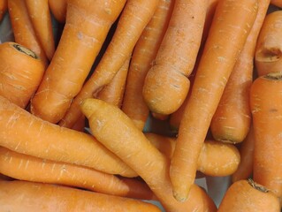 bunch of carrots