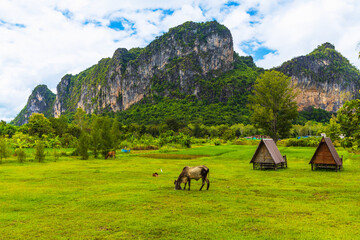 The village of farmers in Phu Pha Man, Khon Kaen province,Thailand.