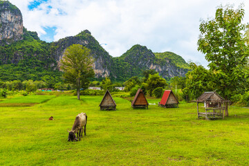 The village of farmers in Phu Pha Man, Khon Kaen province,Thailand.