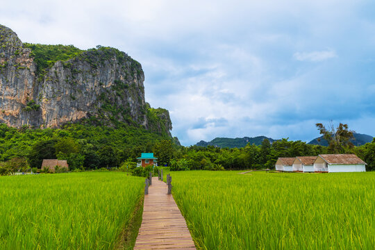 The village of farmers in Phu Pha Man, Khon Kaen province,Thailand.