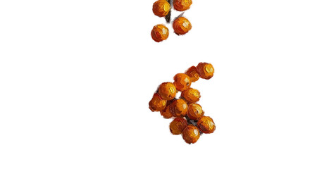 Close Up Of Amber Berry Cluster In Orange Liquid 3D Realistic
