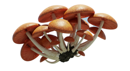 Cluster of Orange Mushrooms Pixel Art Isolated on Warm Gradient Background