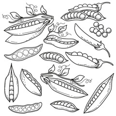 Hand-Drawn peas Collection, line art of peas