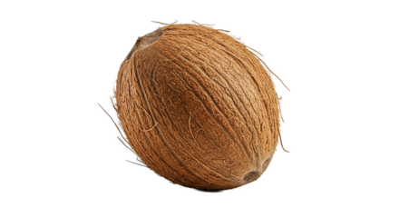 Detailed Coconut Realistic Photo Isolated on Transparent Background