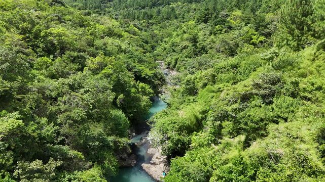 R&iacute;o natural entre bosque tropical con agua cristalina y vegetaci&oacute;n exuberante