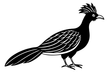 hoatzin silhouette vector  illustration