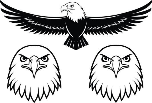 Bald Eagle Design Set in Outlines. American Eagle Outline Illustration. Majestic Bald Eagle Artwork Set. Eagle Head and Wing Illustration Collection. Patriotic Bald Eagle Design Pack. Wild Eagle Bird