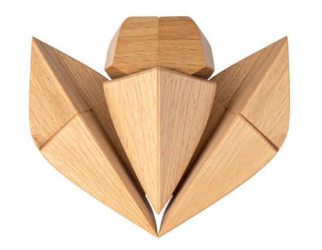 Minimalist Wooden Leaf Bug Toy, Geometric Design, isolated