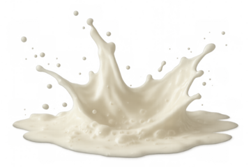 Milk splash burst with drops on transparent background, capturing freshness and dairy product concept