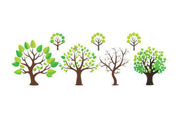 Fototapeta premium Botanical Symphony: A vibrant ensemble of trees showcases the beauty and diversity of the natural world, each tree a unique testament to life and growth.