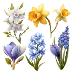 Obraz premium Collection of spring flowers including daffodils hyacinths and crocuses isolated on transparent background