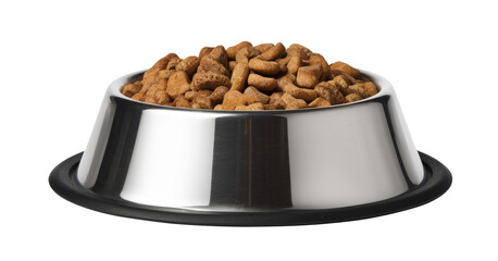 dry dog food in a metal bowl.