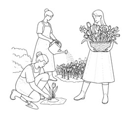 Planting Spring Flowers