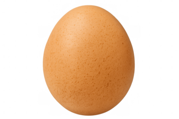 Brown chicken egg, perfect ingredient for baking, breakfast, and healthy cooking recipes, transparent background