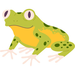 Cute Cartoon Green Frog With Big Eyes And Yellow Belly Sitting On Transparent Background With Dark Green Spots And Pink Feet