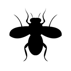 Cartoon vector illustration of a funny bug character, cute ant, wasp, and beetle insect design