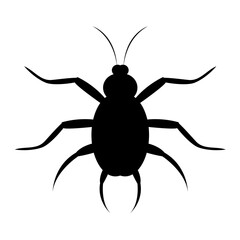 Black macro spider, beetle, and insect close-up on a white background