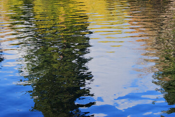 Park reflected in river