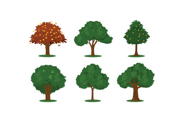 Diverse Trees in Nature's Canvas: A collection of various tree types, each with unique leaf structures and forms, illustrating the diversity of arboreal life and the harmony of nature.