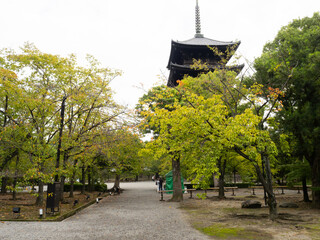 Five-storied padoga of Toji Temple