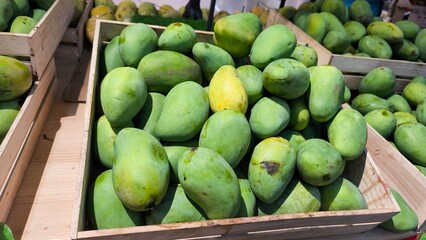 Fresh green mangoes neatly stacked on wooden crates at a market. The image captures the vibrant color and texture of tropical fruit, symbolizing freshness, healthy food, and organic produce.