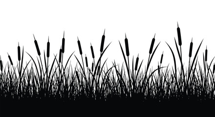 Fototapeta premium A silhouette of cattails and grass against a white background forming a natural border design element .