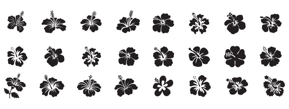 Hibiscus flower silhouettes set collection pack bundle black shape icon silhouette vector flat illustration design on white background