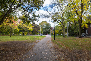 The colors of fall in Toronto nature