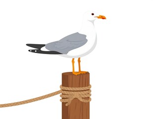 Seagull perched on wooden post