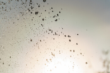 Splashes and jets of water against light background.