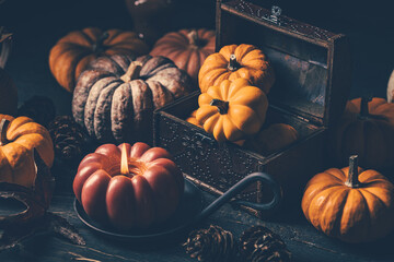 Still life with pumpkins and vintage candle, Thanksgiving arrangement in autumn colors