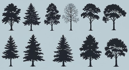Diverse Collection of Tree Silhouettes Representing Various Species and Seasons.