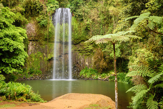 A waterfall called Millaa Millaa Falls, cascades over a vertical rock wall into a plunge pool in the wet tropics jungle on Atherton Tableland near Cairns in tropical North Queensland, Australia.