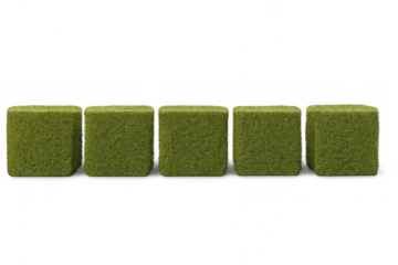 Green cubed topiary plants arranged in a row, creating a minimalist landscaping design on transparent background