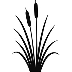 cattail plants silhouette