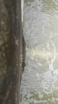 Sewage outfall pipe wastewater discharge with foamy water along concrete wall highlighting pollution urban drainage environmental
