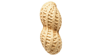 Detailed close-up of a single textured peanut shell, perfect for food and health content.
