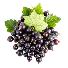 Raisins noirs isolated on transparent background