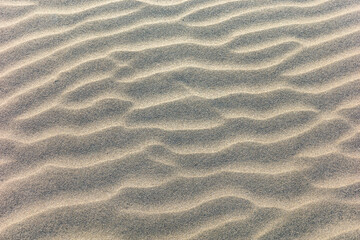 湘南海岸の砂紋