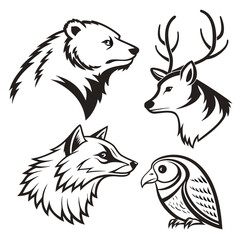 Obraz premium Wild animal head in black and white