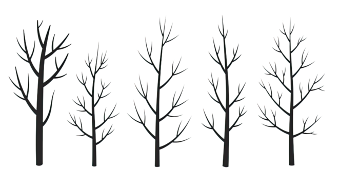 Set of bare winter trees with snow-covered branches on white background, perfect for seasonal design and winter projects
