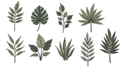 Set of various hand-drawn tropical and exotic leaves collection, botanical illustrations perfect for design, decoration, and nature-themed projects