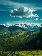 Peaceful alpine valley in the Dolomites, Italy. Rolling green hills and pine forests leading to snow-covered peaks in the distance under a soft summer sky — pure mountain serenity.