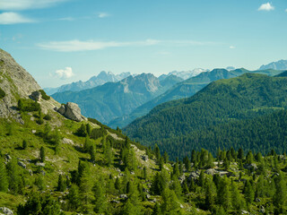 Peaceful alpine valley in the Dolomites, Italy. Rolling green hills and pine forests leading to snow-covered peaks in the distance under a soft summer sky — pure mountain serenity.