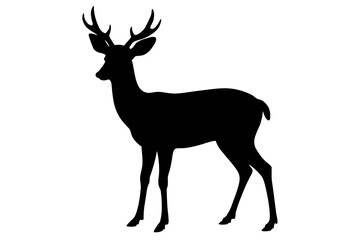deer vector illustration