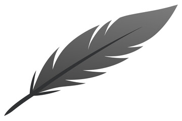 Obraz premium feather on white background
